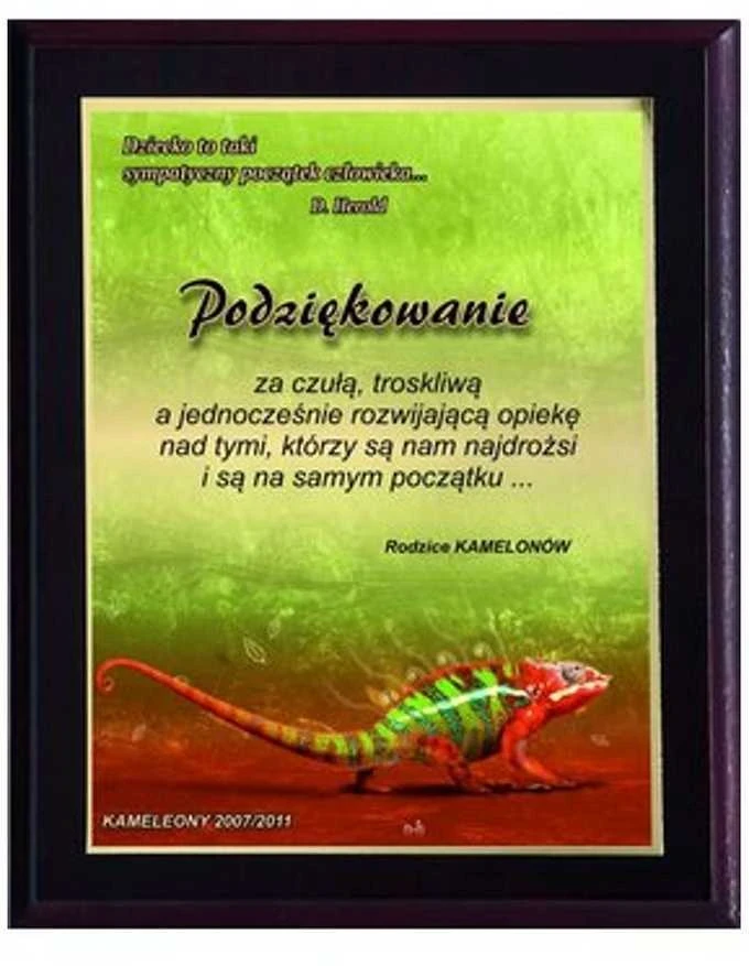 Tryumf Plastikinis diplomas su spalvotu touch laminatu