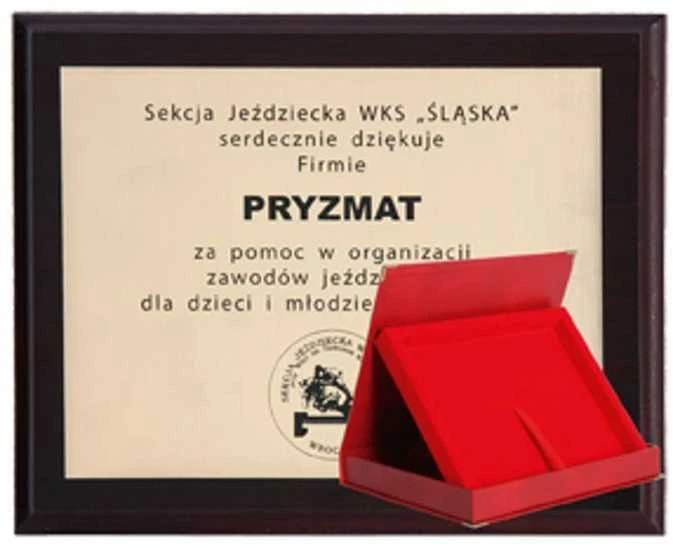 Tryumf Plastikinis pagrindas su graviruotu laminatu + korpusas 305x245 mm