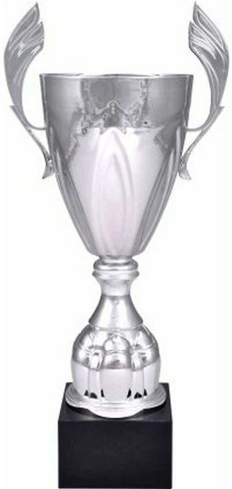 Tryumf Sidabrinis metalinis puodelis 4127B