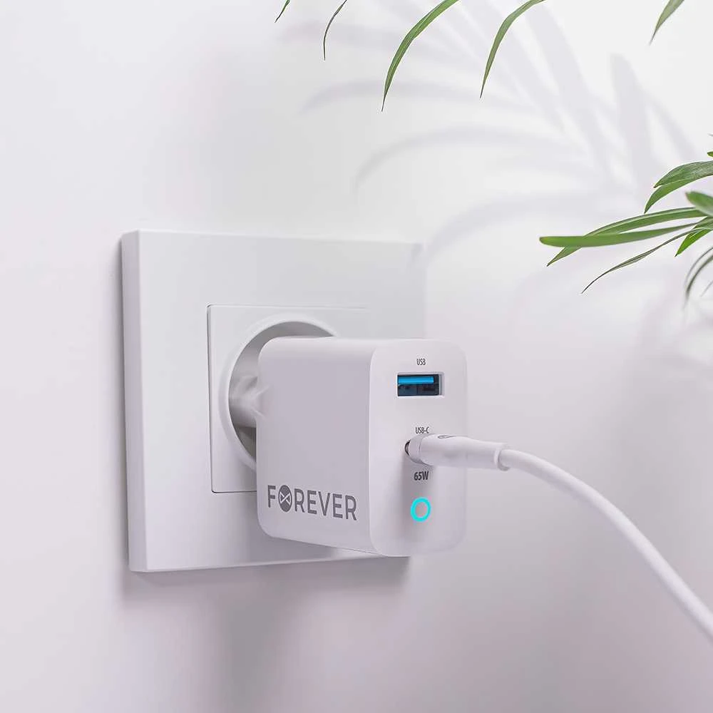 TelForceone Forever GaN TC-06-65AC PD QC įkroviklis 1x USB-C 1x USB 65W baltas