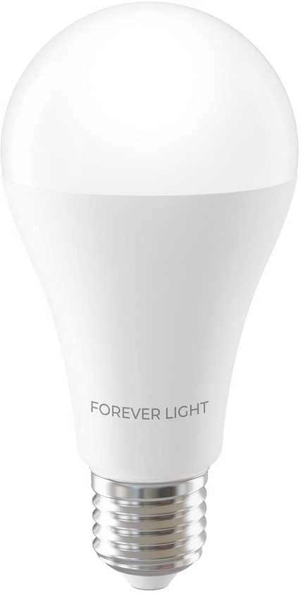 Telforceone Forever Light LED Bulb E27 A65 17W 2100lm 4000K class E
