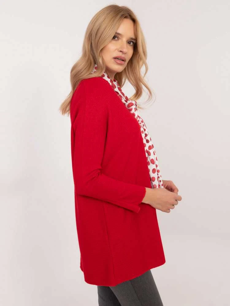 Italy Moda Palaidinė-DHJ-BZ-19226.91-raudona