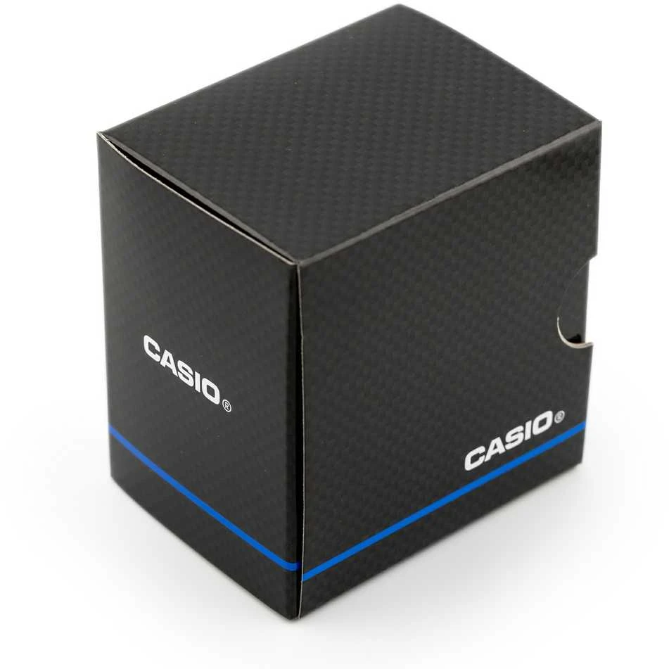Laikrodis Casio Collection MTP-1302PD-2A2VEF