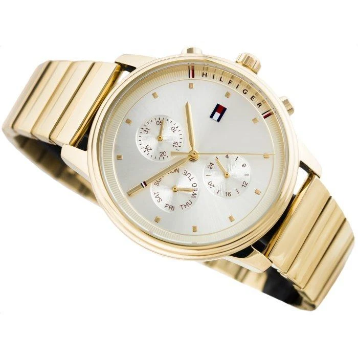 MOTERIŠKAS LAIKRODIS TOMMY HILFIGER BLAKE (zf525a)