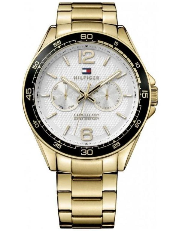 MOTERIŠKAS LAIKRODIS TOMMY HILFIGER ERIK (zf530a)