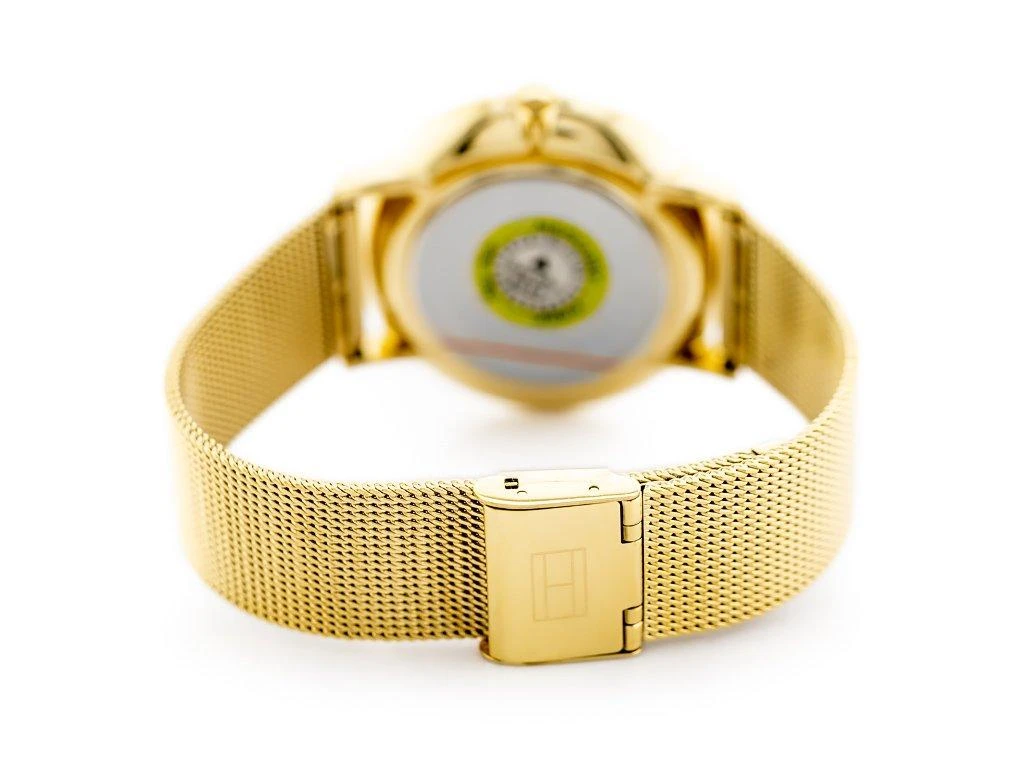 Moteriškas laikrodis TOMMY HILFIGER JENNA (zf509b)