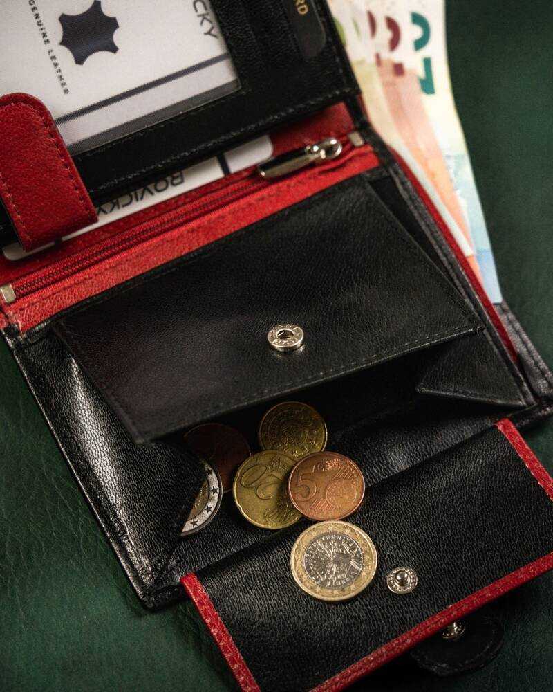 Odinė piniginė RFID ROVICKY N4L-GOAN