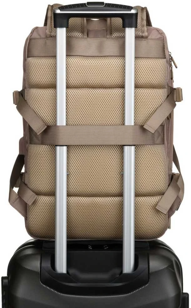 Peterson PTN 24421