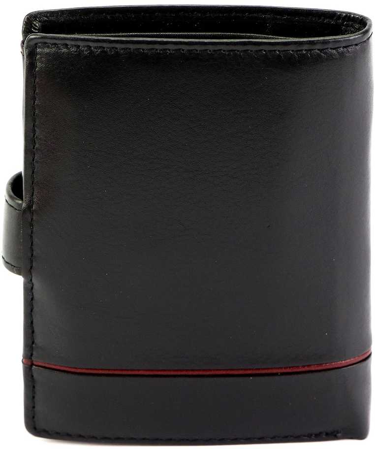 Vyriška piniginė Pierre Cardin YS605 326A