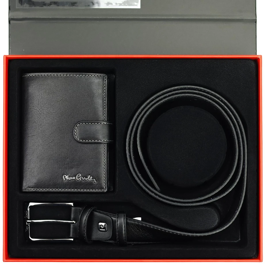 Pierre Cardin ZP-009
