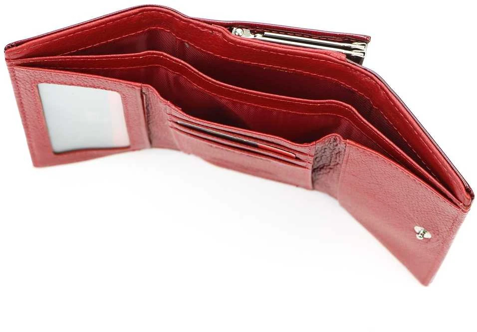 Piniginė moterims Pierre Cardin 05 LINE 117 F