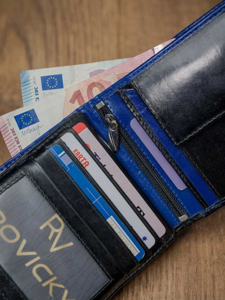 Dviejų spalvų horizontaliai sulankstoma odinė „Rovicky“ piniginė