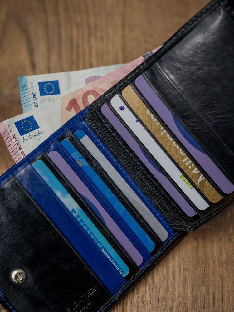 Dviejų spalvų horizontaliai sulankstoma odinė „Rovicky“ piniginė
