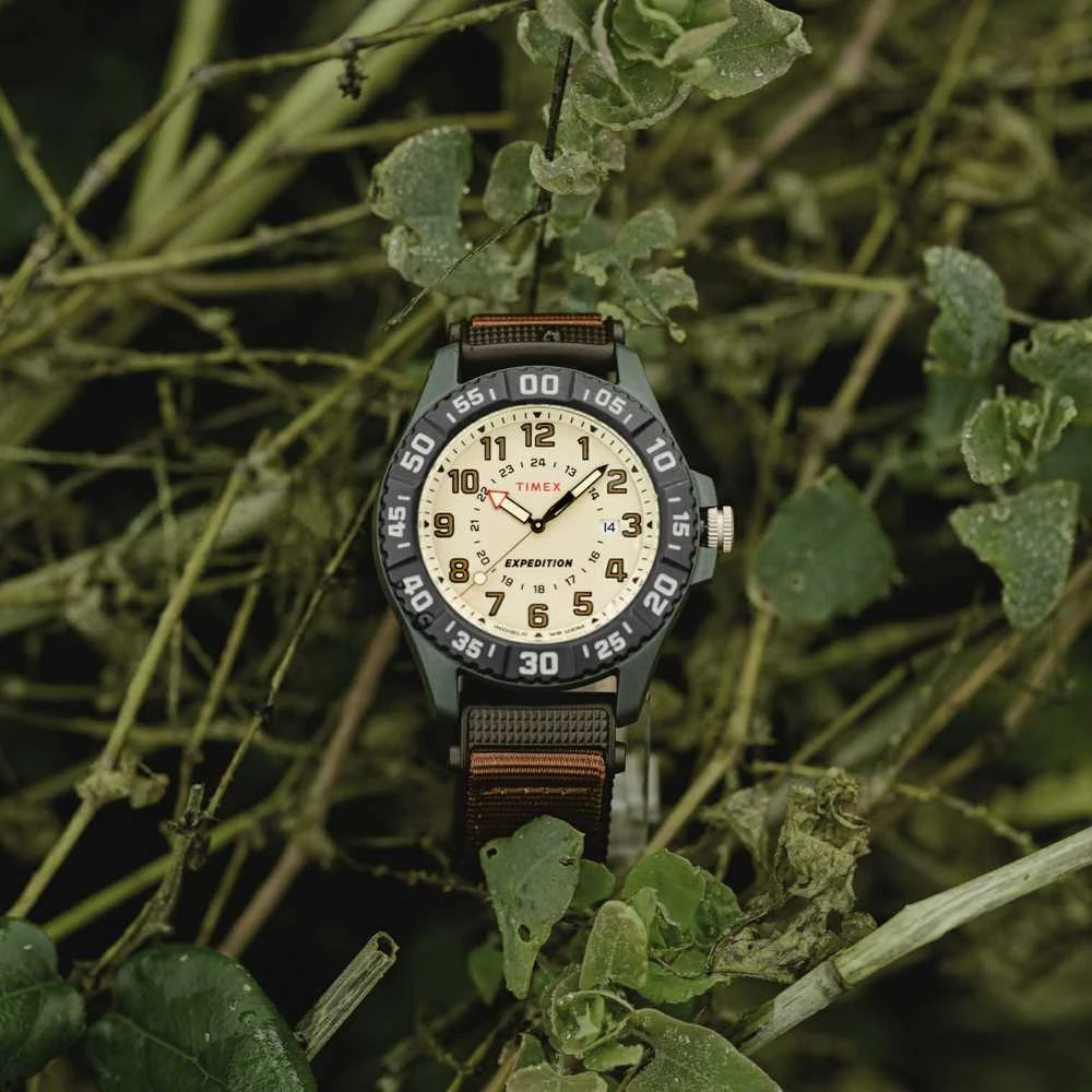 TIMEX Expedition Acadia Rugged vyriškas laikrodis TW4B26500 (zt161b) + dėžutė