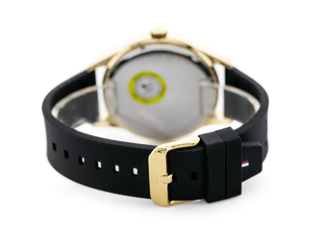 VYRIŠKAS LAIKRODIS TOMMY HILFIGER AUSTIN (zf017a)