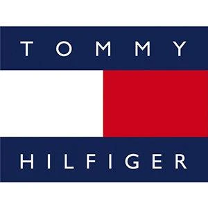 VYRIŠKAS LAIKRODIS TOMMY HILFIGER GAVIN (zf003a)