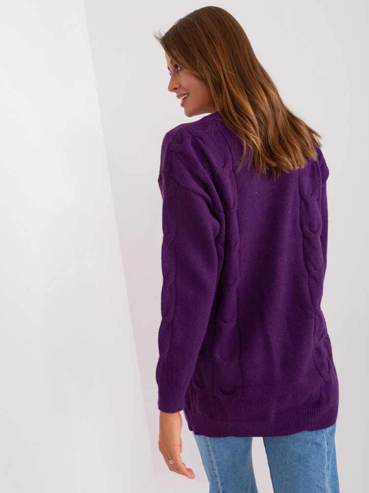 Wool Fashion Italia Megztinis-AT-SW-2241.36P-tamsiai violetinis