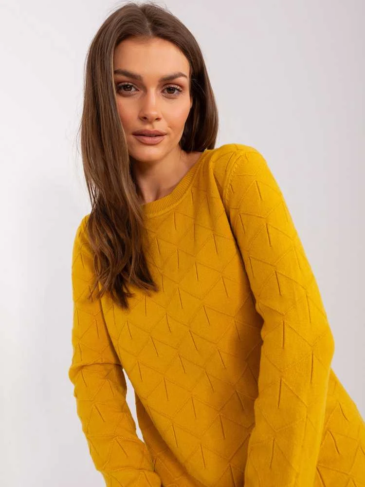 Wool Fashion Italia Megztinis-AT-SW-232901.25X-tamsiai geltonas