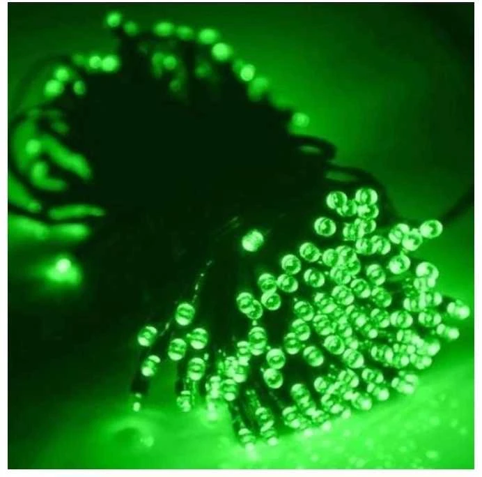 Eu Sandelis Vidaus/išorės žalia elektrinė lempučių girlianda 100 LED LAMP01ZIE