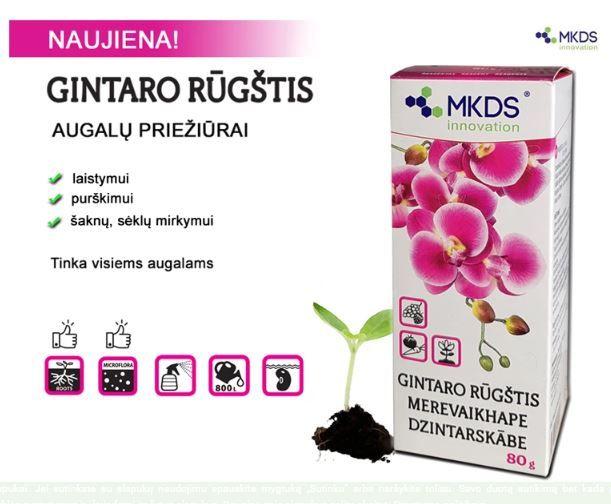 Mkds GINTARO RŪGŠTIS, 80 G, REAGENTAS, žema kaina | Varle.lt