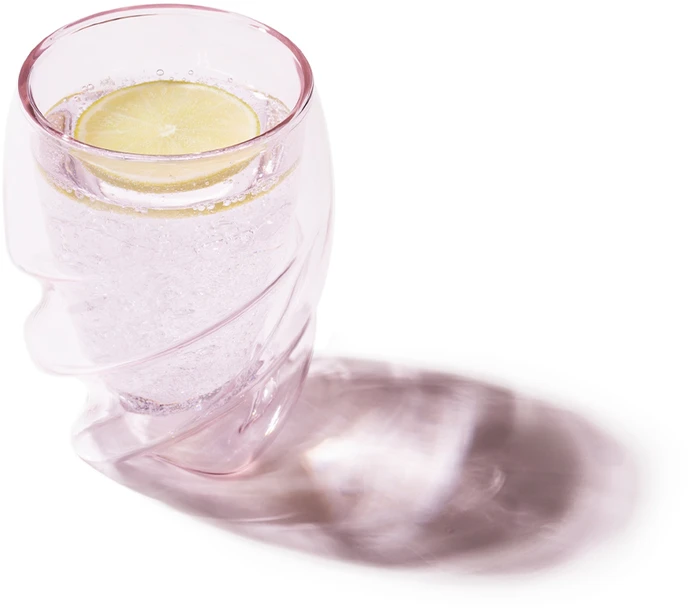 Rožinė dvigubų sienelių stiklinė 0.27L su citrina