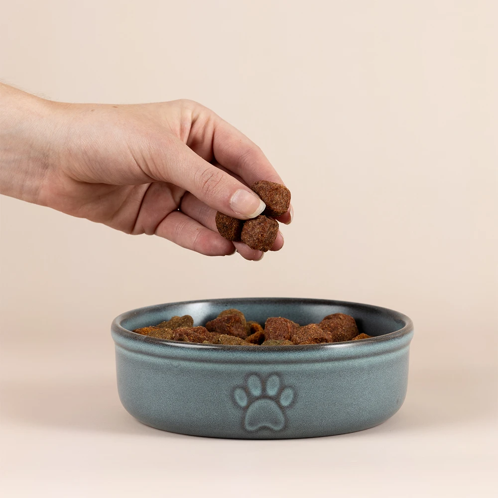 MASON CASH (RAYWARE GROUP) MC-Pet dubenėlis 15 cm reaktyvioji letenėlė