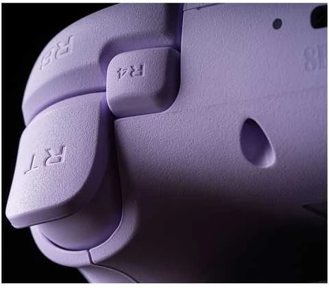 Belaidis žaidimų pultas 8BitDo Ultimate 2C Wireless | spalva: violetinė