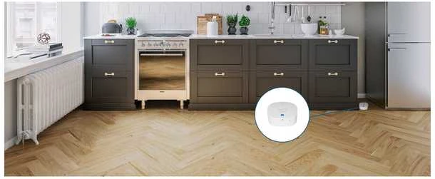 Anker Eufy Vanduo & Freeze Sensor