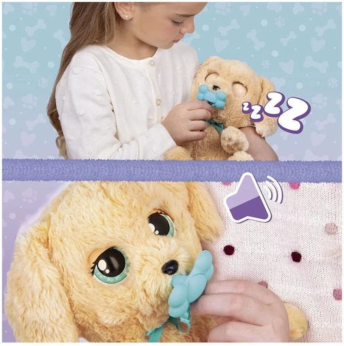 Baby Paws Kūdikių letenėlės - Labradoras (264-921146)