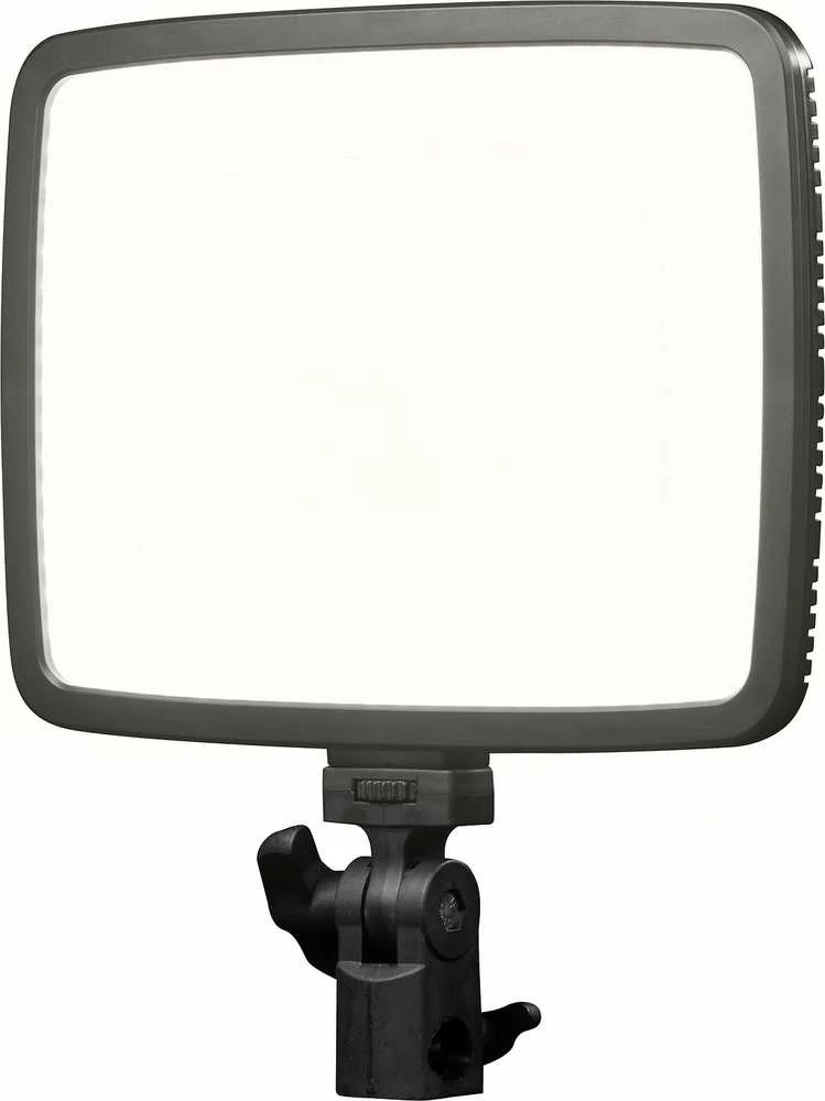 Beiwe BICO P24W LED skydelis