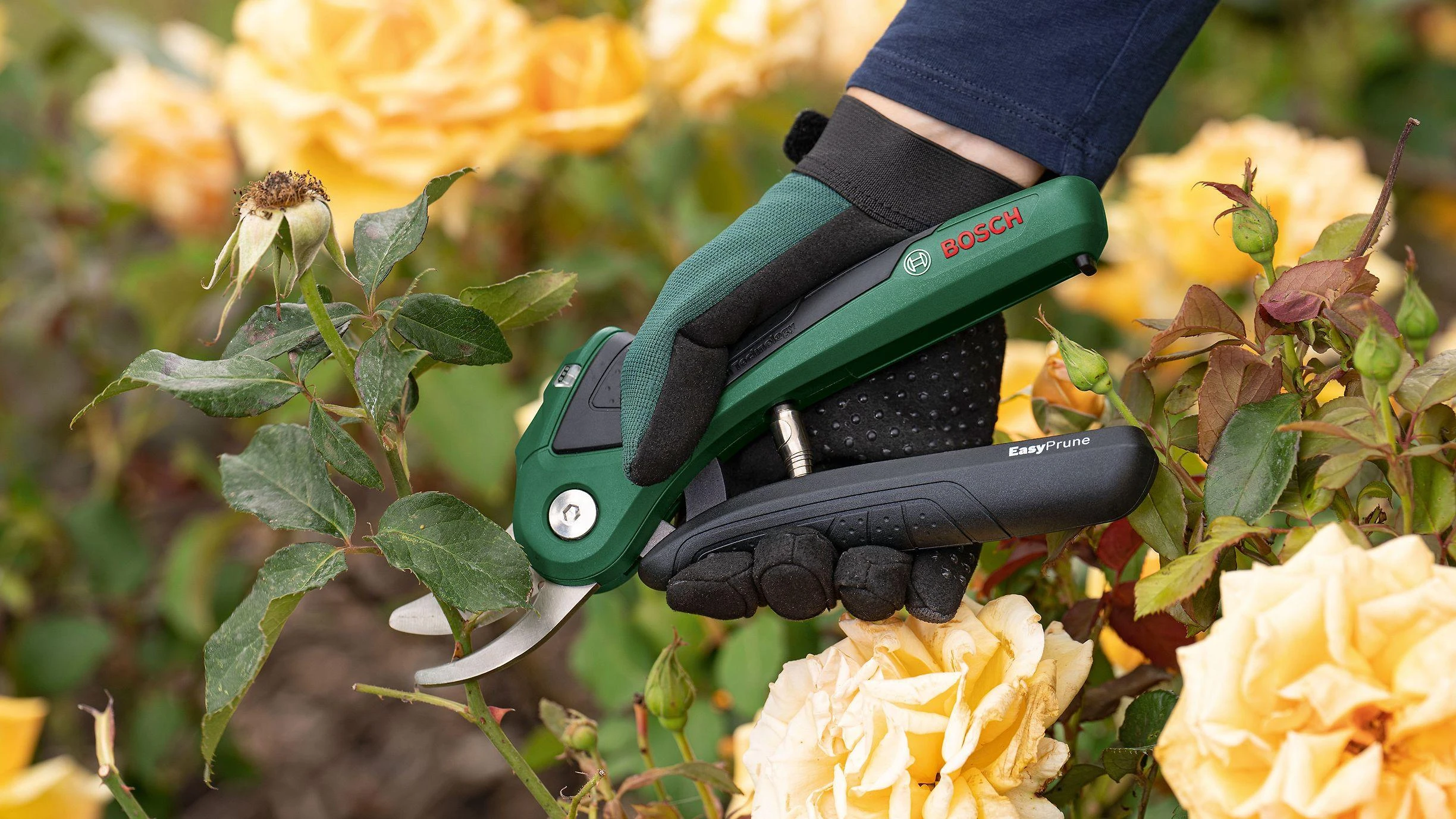 Akumuliatorinis sekatorius Bosch Easy Prune 06008B2102
