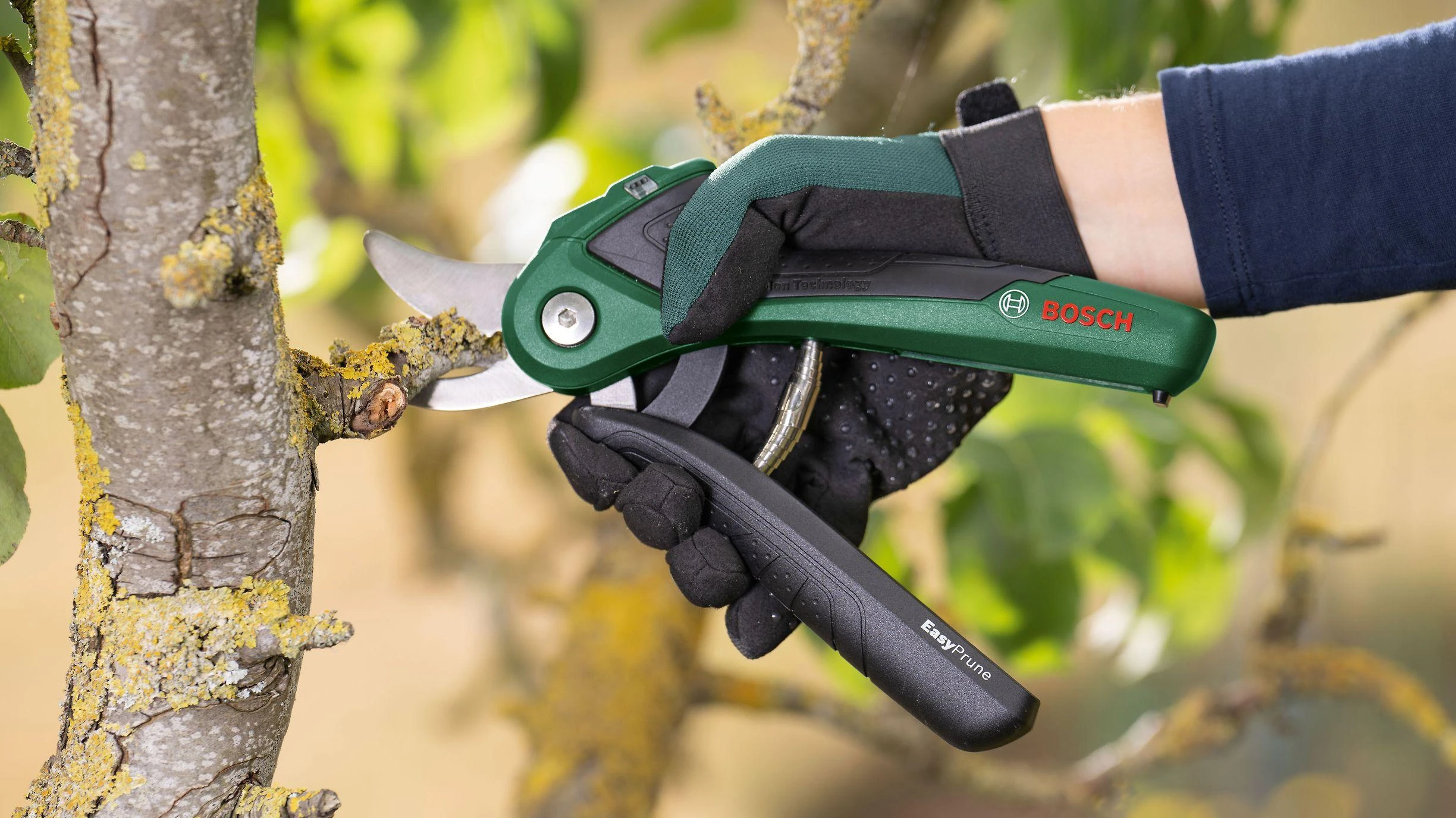 Akumuliatorinis sekatorius Bosch Easy Prune 06008B2102