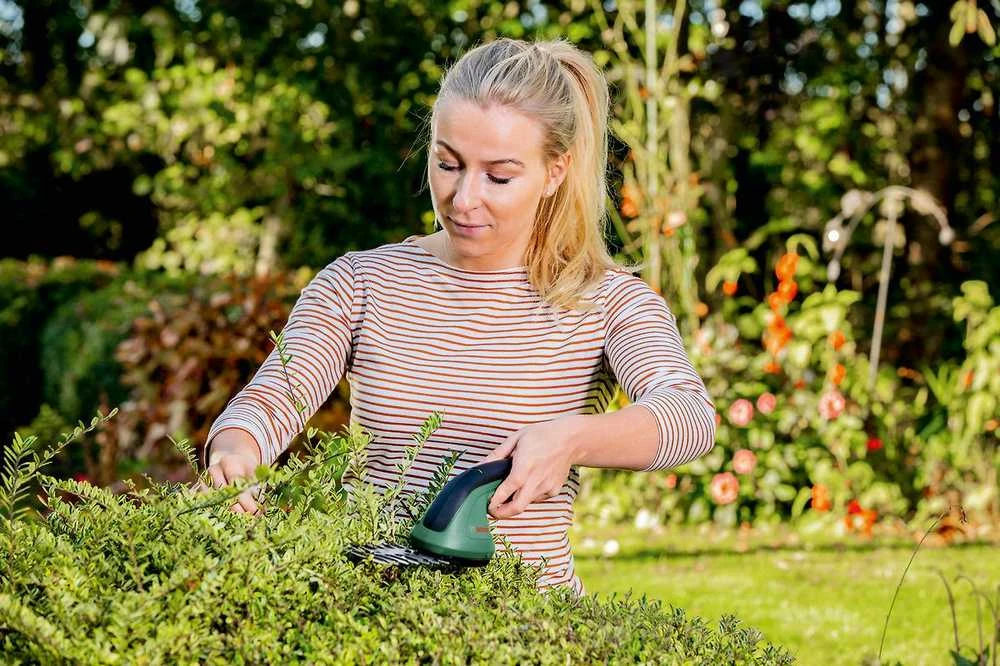 Bosch akumuliatorinės žolės ir krūmų žirklės EasyShear