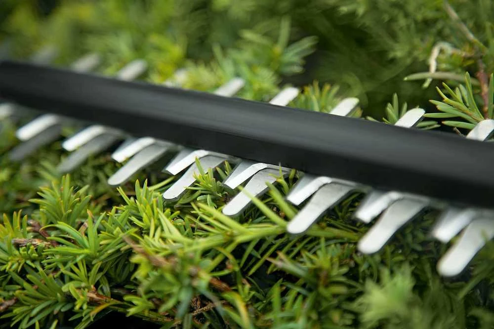 Akumuliatorinės gyvatvorių žirklės Bosch Universal HedgeCut 18-55