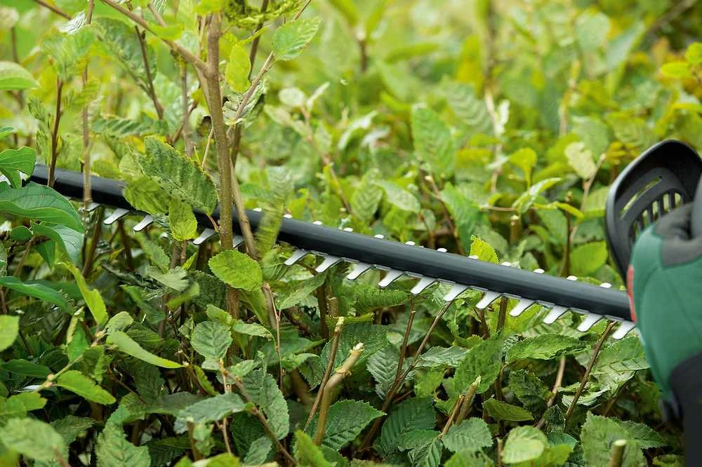 Akumuliatorinės gyvatvorių žirklės Bosch Universal HedgeCut 18-55