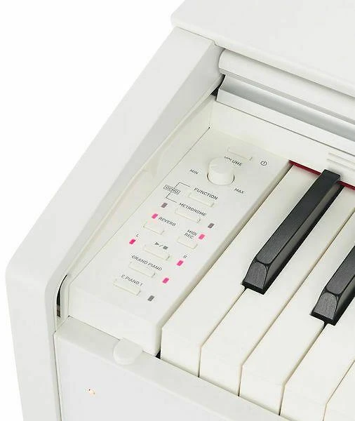 Skaitmeninis pianinas Casio PX-770WE