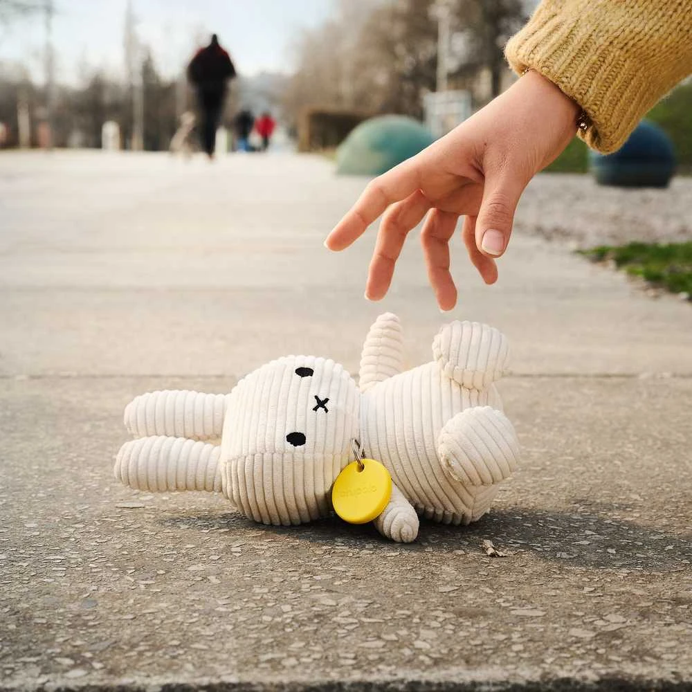Rinkinys lokalizatorów POP Chipolo 4vnt. raudona, mėlyna, żólty, žalia