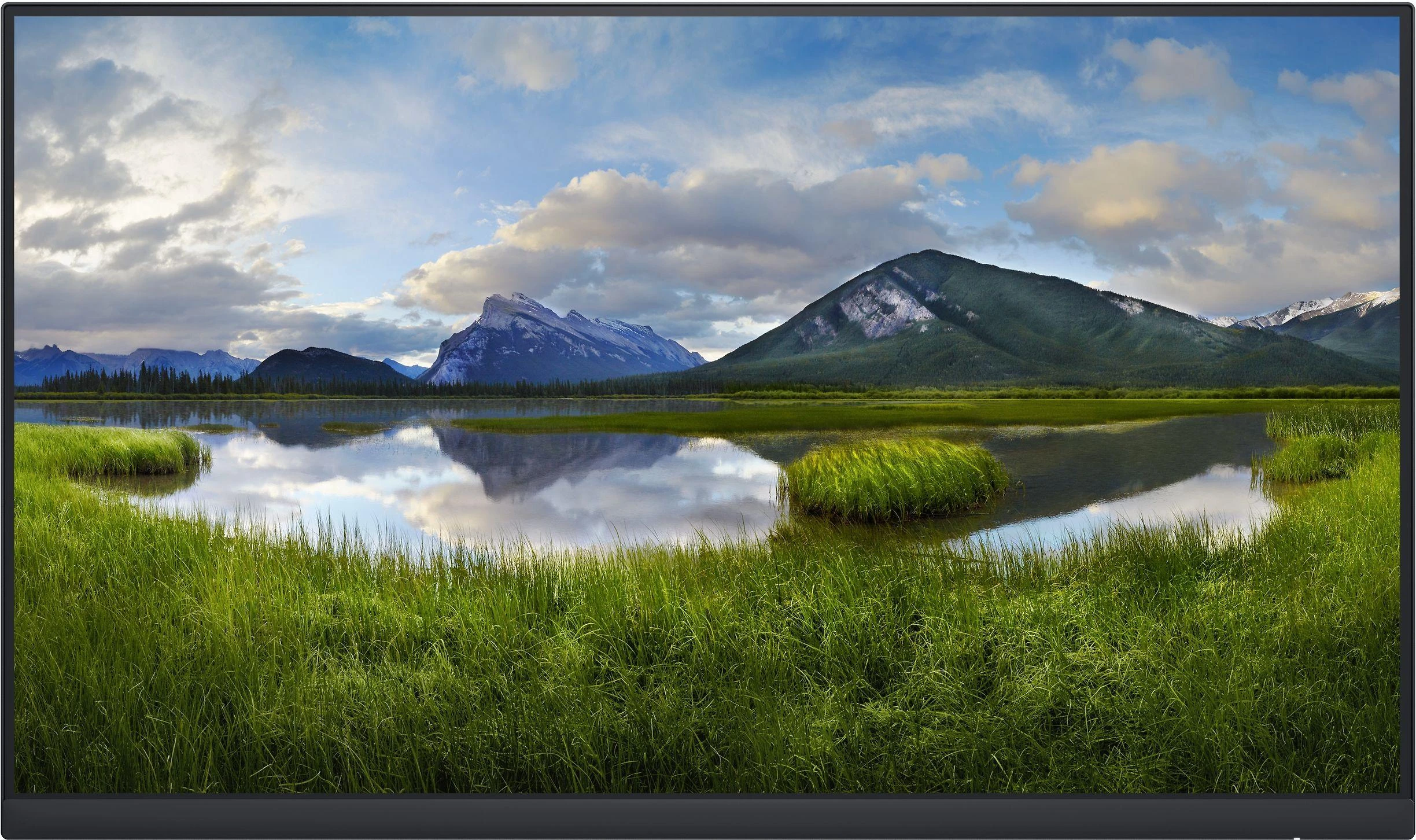 Monitorius Dell | P2422H | 23.8 " | IPS | FHD | 1920 x 1080 | 16:9 | Garantija 36 mėn. | 5 ms | 250 cd/m² | Sidabrinis | Audio | HDMI jungtys quantity 1 | Hz | Stand included No