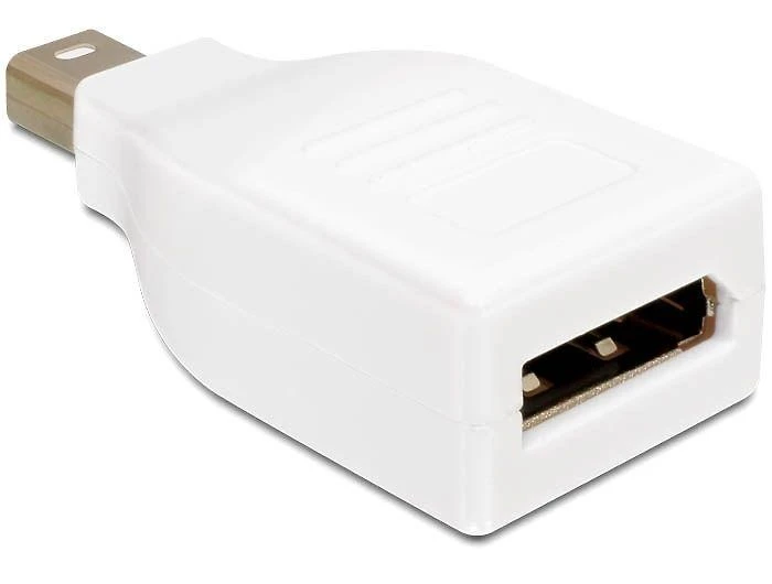 Mini DisplayPort į DisplayPort adapteris, baltas