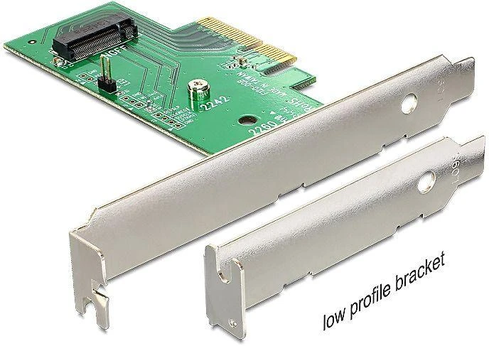 DELOCK PCIe x4 > 1 x M.2 NGFF