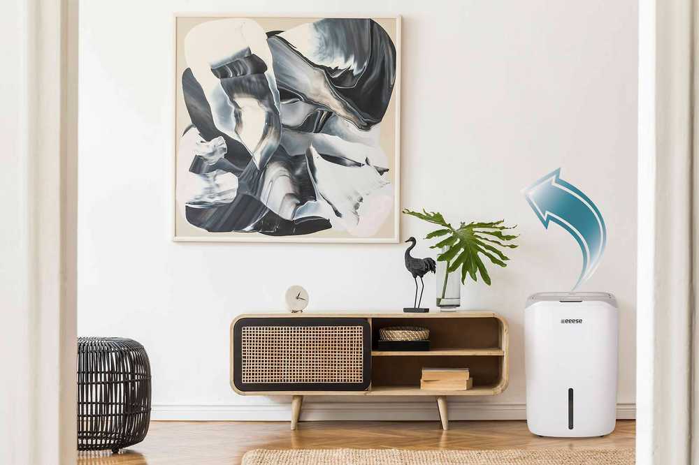 Eeese - Oro sausintuvas ir oro valytuvas Carl 25L WIFI - 5 metų garantija