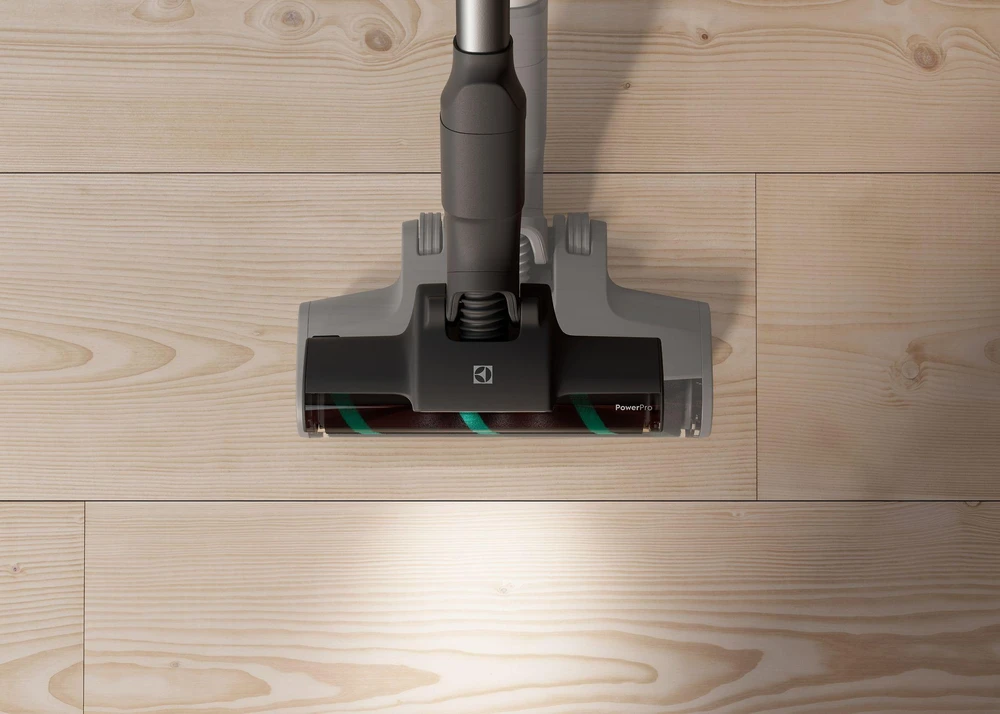 Dulkių siurblys Electrolux  Animal 700 PET