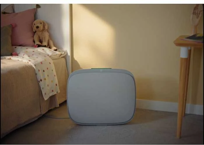 Oro valytuvas Electrolux WA51-303GY