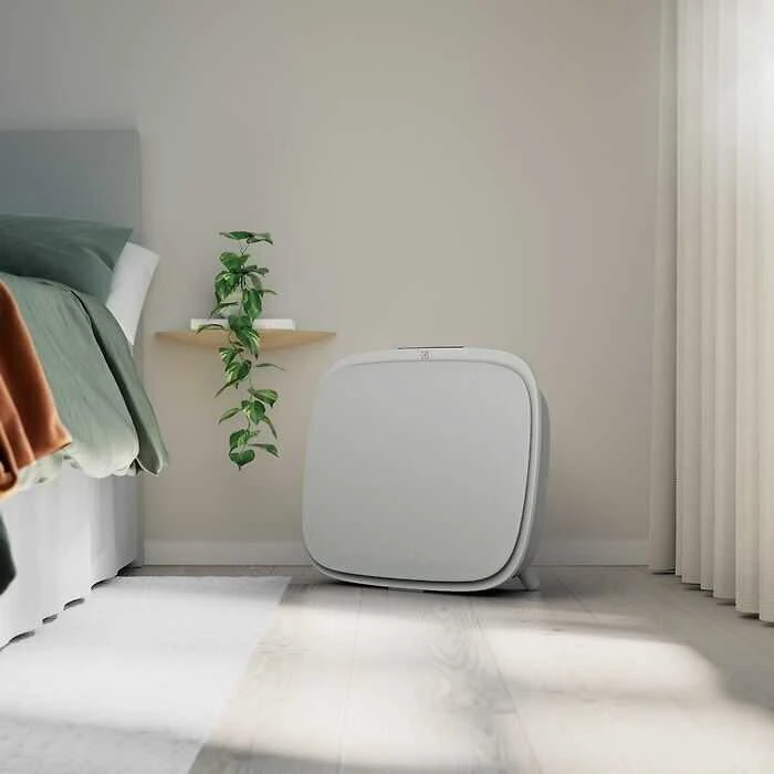 Oro valytuvas Electrolux WA51-303GY