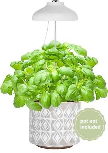 Enne Interior Enne Bijou Grow -kasvivalaisin,USB, 5 W, 240 lm, valkoinen