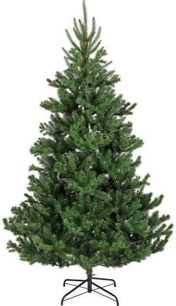 Everlands Alba fir aidonnäköinen joulukuusi, 210 cm