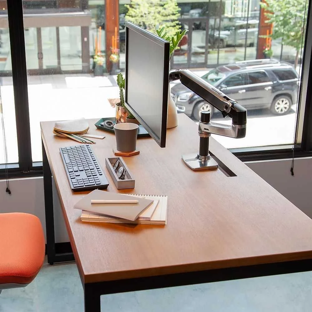 Laikiklis Ergotron - LX Desk Monitorius Arm - matte juodas