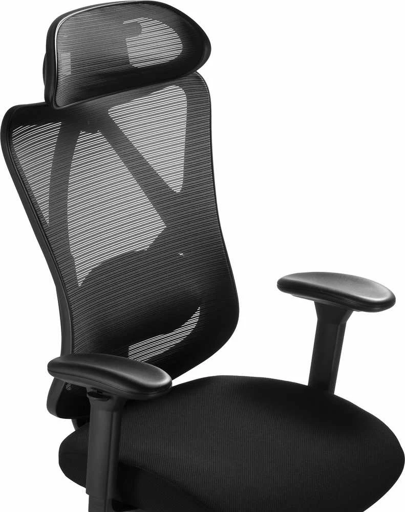 ErgoWork Lumbacker biuro kėdė su tinkline atrama