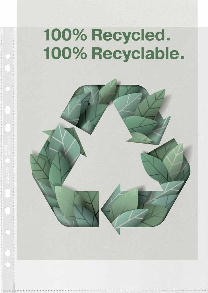 Esselte perdirbamo plastiko įmautė su lapų grafika
