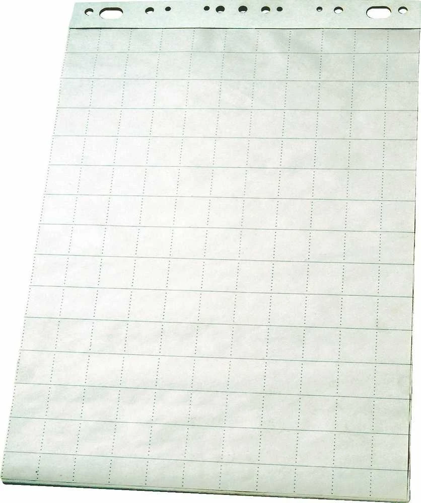 Bloknotas konferencijų stovui Esselte, 59x80cm, langeliais, 50 lapų